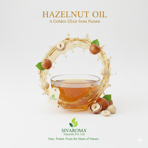 Huile de noix de noisette pressée à froid de qualité cosmétique pour les achats en gros B2B par les industries de la beauté et des soins personnels - Product Image 5