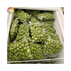 Dracontomelon Congelado Premium IQF, Fruta Verde Ácida, Origen Vietnam, Ingredientes Alimenticios Naturales de Alta Calidad al por Mayor para Exportación - Product Image 4