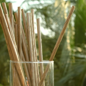 100% pailles jetables biodégradables paume naturelle diamètre 5mm pour toutes les boissons événements voyage mariages café boutiques café shakes - Product Image 2