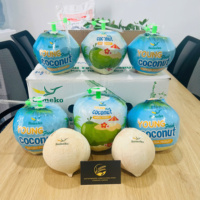 Exporteer Tropisch Fruit Uit Vietnam Verse Jonge Kokosnoot Gemakkelijk Te Openen Met Stro