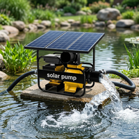 Pompe à eau solaire portable, pompe à eau solaire pour l'irrigation des fermes, pompe solaire pour l'irrigation des fermes