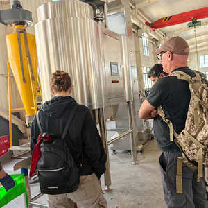 เครื่องปอกเปลือกถั่วลิสงแบบใช้ลมอัดประสิทธิภาพสูง 98% สำหรับการปอกเปลือก และ 85% สำหรับการแยกเมล็ดถั่วลิสงทั้งเมล็ด พร้อมปั๊มลมและส่วนประกอบหลัก - Product Image 3