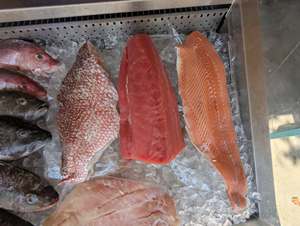 Pargo Rojo Congelado IQF, Suministro a Granel al por Mayor con 12 Meses de Vida Útil - Product Image 2