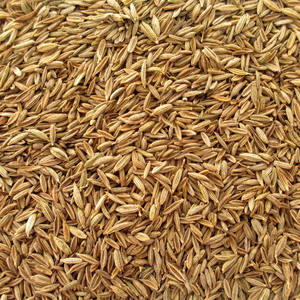 100% graines de cumin noir crues séchées AD naturelles pures de Belgique - Product Image 6