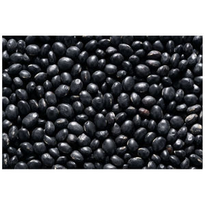 High Quality Red Healthy <b>Care</b> Long Shape Dark Black Kidney Beans Fresh Red Kidney Beans for Sale - Product Image 6