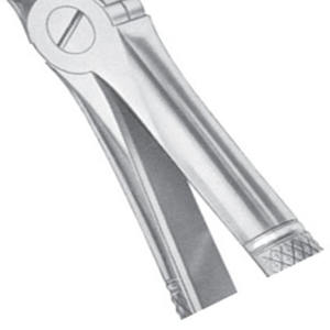 Forceps chirurgicaux manuels en acier inoxydable de haute qualité, incisives supérieures et canines, certifiés CE, garantie à vie - Product Image 4