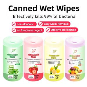 Kokulu olmayan koku fabrika toptan dezenfekte 2024 ile çocuklar için yumuşak organik ıslak mendiller özelleştirilebilir Mini ıslak mendiller - Product Image 3