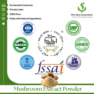 Poudre d'extrait de champignon sauvage de qualité alimentaire industrielle pour utilisation dans les additifs alimentaires et les boissons enrichies - Product Image 6
