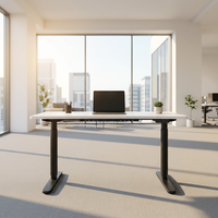 Bureau debout électrique à double moteur avec pieds ovales à 3 niveaux, réglable en hauteur, poste de travail ergonomique