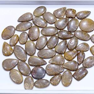 100% Natural Fossil <b>Coral</b> Loose Gemstone Mix Shape and Size Fossil <b>Coral</b> Cabochon Loose Gemstones Lot for Use Jewelry Making - Product Image 2