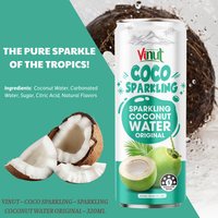 Bebida de Agua de Coco con Gas, Sabor Original, Lata de Aluminio 290ml 330ml, Paquete de 24, HALAL KOSHER VINUT, Importador Mayorista