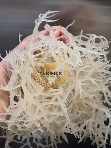100% เก็บเกี่ยวป่าอบแห้งสีน้ำตาลมอส/สาหร่ายมอสไอริช/chondrus Crispus Eucheuma cottonii จาก takimex Vietnam - Product Image 4