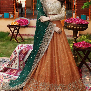 Vestido de Fiesta Estilo Pakistaní para Mujer, Diseño Tradicional, Vestido de Gasa Elegante, Vestido de Fiesta Tradicional de Gasa para Damas - Product Image 1