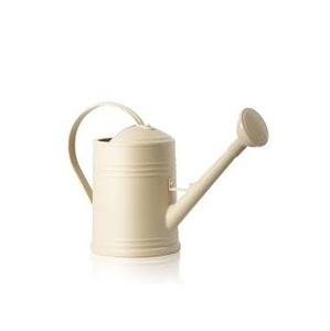 Regadera de diseño New Look Regadera de zinc, pequeña, resistente, pequeña regadera de zinc galvanizada antigua - Product Image 5