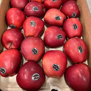 Meilleures ventes Pommes vertes Fuji fraîches de qualité supérieure, biologiques et naturelles, 18 kg, durée de conservation de 24 mois, prêtes à la vente - Product Image 6