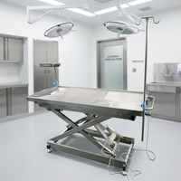 Table d'opération vétérinaire électrique en acier inoxydable 304, lit de chirurgie pour animaux de petite taille pour hôpital vétérinaire, pédale ACS02