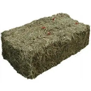 Fresh / Dry Timothy Hay and Alfalfa Hay Available mn