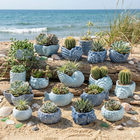 Prix de Gros Négociable Pot de Fleurs en Céramique Personnalisé, Vases et Jardinières en Forme d'Étoile de Mer, Vases à Succulentes en Céramique, Petits Pots de Fleurs