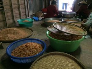 สินค้าขายดี กุ้งแห้งคุณภาพสูง อาหารทะเลแห้ง สำหรับส่งออกจากเวียดนาม - Product Image 2