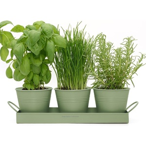 Fantaisie métal rebord de fenêtre jardinière herbe jardin jardinière ensemble avec plateau ferme maison et jardin décoration herbe Pot ensembles - Product Image 2