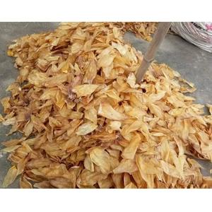 Tratamiento para masticar suave con orejas de buey de búfalo orgánico natural para perros-Estilo animal - Product Image 3