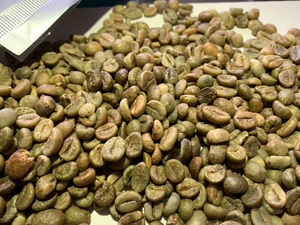 Los granos de café verde se suministran desde Bao Tram Anh Vietnam. Productos agrícolas de alta calidad al mejor precio. - Product Image 3