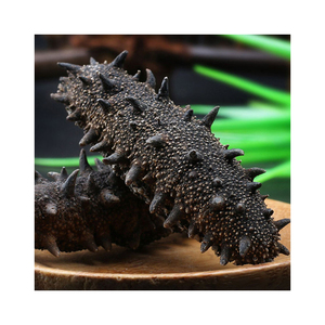 ปลิงทะเลสดแบบแพ็คไว้สำหรับอาหารทะเลป่าธรรมชาติเกรดพรีเมี่ยมสะอาดส่งออกจำนวนมาก - Product Image 6