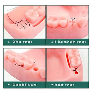 Modelo de Material de Costura Oral Simulada, Kit Dental de Goma para Costura Suave para Entrenamiento Médico por SurgiRight - Product Image 3