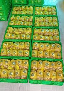 Idor longan ผลไม้มาตรฐานสำหรับส่งออกที่มีรสหวานและมีกลิ่นหอมจากเวียดนามมีอายุการเก็บรักษายาวนานบรรจุในซูเปอร์มาร์เก็ตและขายปลีก - Product Image 6