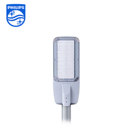 Lampadaire LED Philips BRP381 BRP382 BRP384 55W/60W/70W/85W/95W/105W/120W/130W/140W, éclairage routier Philips, éclairage de jardin étanche