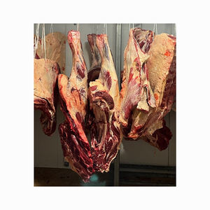 เนื้อวัวทั้งตัวพร้อมส่ง จัดส่งรวดเร็ว สำหรับการจัดหาจำนวนมากและคำสั่งซื้อปริมาณมาก - Product Image 1