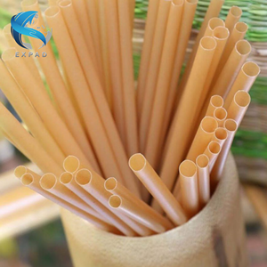 Pajitas de fibra de caña de azúcar orgánica alternativa sostenible sin plástico - Product Image 4