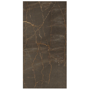 Carreaux de porcelaine noir haute brillance de qualité supérieure 60x120cm Asteriod Olive Digital Glazed Polished pour une utilisation rapide des murs intérieurs - Product Image 1