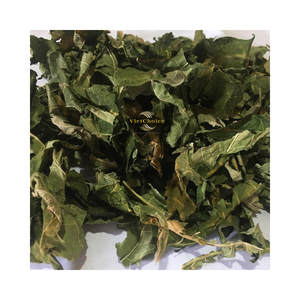 Hoja de Papaya Seca Natural VietChoice, Suministro Estable, Materia Prima Herbal al por Mayor - Product Image 5