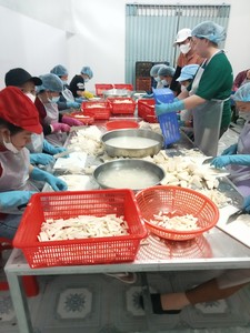 Precio de fábrica Yuca congelada IQF: Tapioca dulce de alta calidad, la mejor oferta para exportación. - Product Image 5