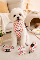 Ensemble Harnais et Laisse Personnalisés pour Chien – Gilet Anti-Traction Réglable avec Laisse Assortie pour Chiens de Petite et Moyenne Taille – Vente en Gros