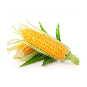 Maïs jaune biologique de haute qualité pur naturel et riche en vitamines pour l'alimentation des bébés et des animaux sacs secs et sucrés - Product Image 6