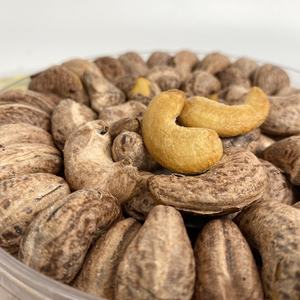 2024 Anacardos orgánicos al por mayor de alta calidad, uso agrícola fresco, tostado al instante, salado, OEM, fabricante de Vietnam 100% - Product Image 1