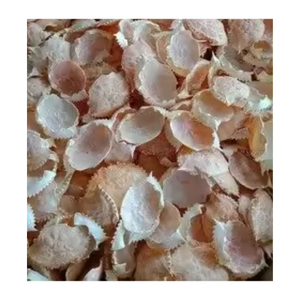 New Arrival <b>Crab</b> <b>Shell</b> Powder for Animal Feed From Vietnam with Cheap Price/Ms.Thi - Product Image 1