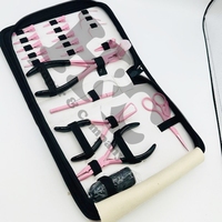 Nouveautés : Kit d'outils pour extensions capillaires roses – Crochets, pinces, boîte, fils, aiguilles, pinces à ruban de vison durable, acier inoxydable