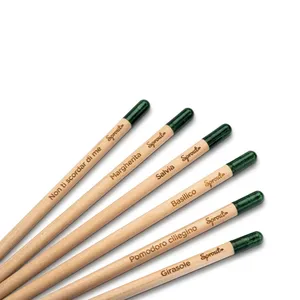 Penna Ecologica Piantabile per Germogli - Penna Promozionale per un Mondo Più Verde - Product Image 4