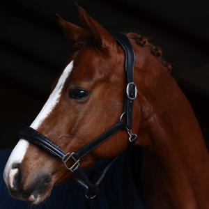 Bride de cheval et licou en cuir de qualité supérieure conçus dans un style de selle anglais classique pour les professionnels et les compétitifs - Product Image 3