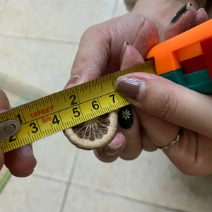 Exportación a granel precio competitivo naranja joven seca del proveedor de Vietnam - Product Image 1