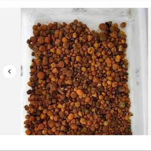 Exportación 100% Natural de alta calidad buey cálculos biliares ganado cálculos biliares vaca cálculos biliares en venta - Product Image 1