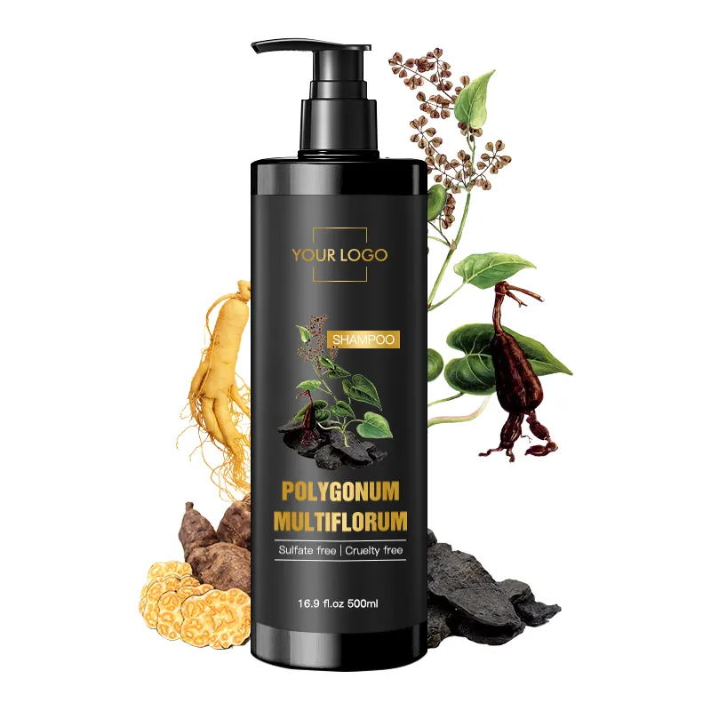 OEM-производитель, оптовая продажа, фирменный шампунь с аргановым маслом, без сульфата, экстракты многоцветкового черного шампуня против выпадения волос