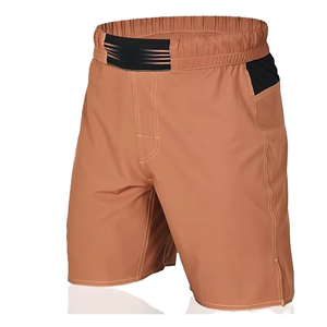 Haute Performance MMA Mid Respirant Séchage Rapide Spandex/Polyester Grappling Shorts Nouveaux Designs Couleurs Combattants Boxe Arts Martiaux - Product Image 4