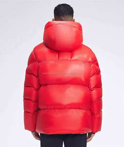 Veste d'hiver imperméable de haute qualité 2025, 90% duvet d'oie, pour hommes - Product Image 2