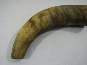 Cuerno de búfalo natural pulido, personalizado, artesanal, cuerno para beber, cuernos vikingos con color natural para ocasiones navideñas - Product Image 4