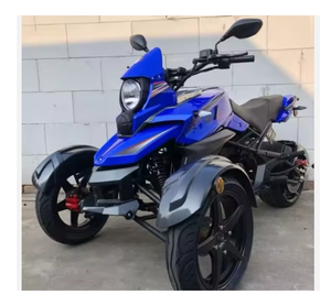 NUEVO iFAV JASS--COLLS 200 Triciclo de Tres Ruedas con Motor sin Escobillas >80km/h con 3 años de garantía y envío rápido - Product Image 1