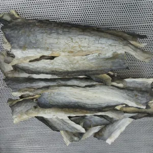 Pangasius Hypophthlmus Origin Vietnam Frozen catfish pangasius skin current Pangasius skin market competitive price